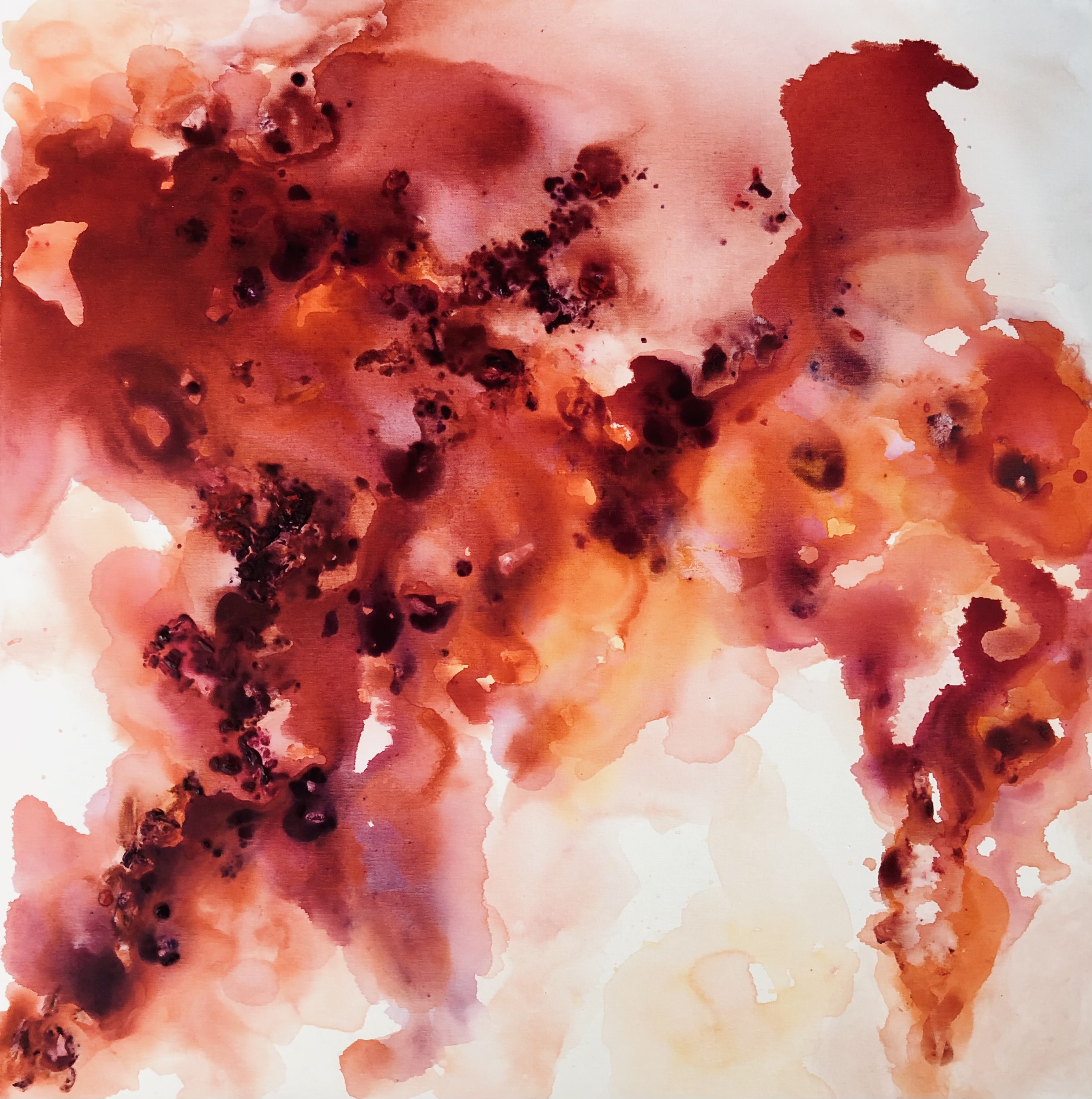 Untitled Image 1